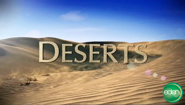 Deserts And Life